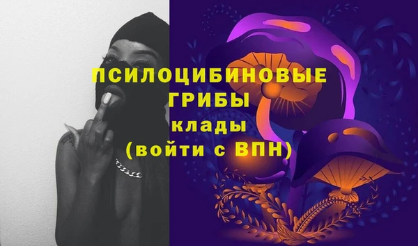 МДПВ Армянск