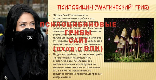 мяу мяу мука Арсеньев