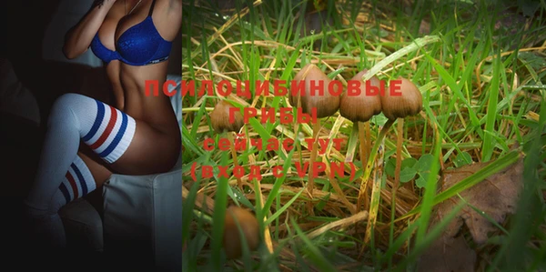 мяу мяу мука Арсеньев