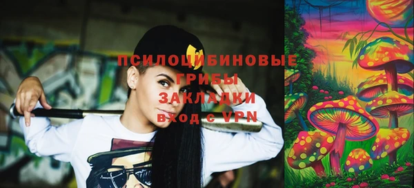 МДПВ Армянск