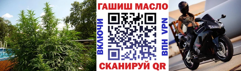 Дистиллят ТГК Wax кракен зеркало Иркутск дарнет шоп
