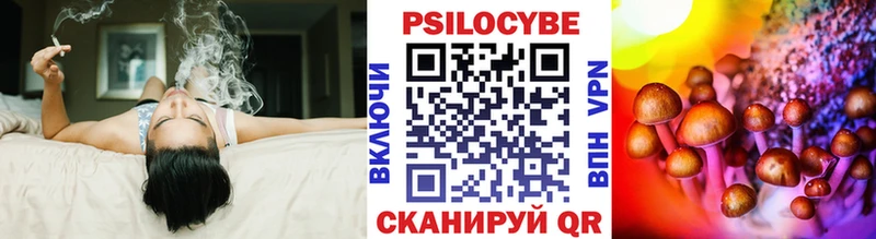 купить закладку  Иркутск  Псилоцибиновые грибы мицелий 